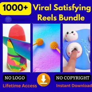 Viral Satisfying Reels Bundle